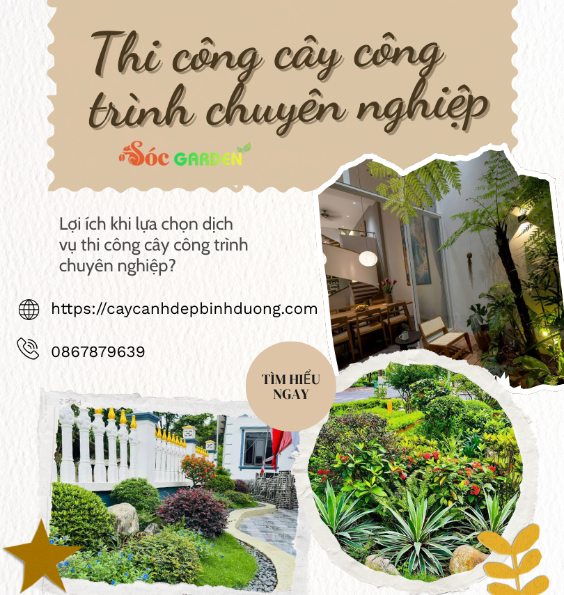 Thi Công Cây Công Trình Chuyên Nghiệp