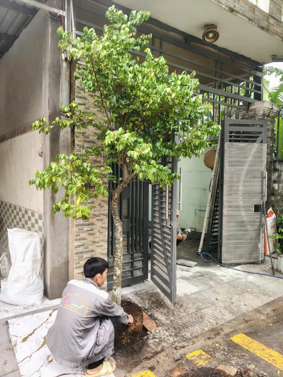 Kĩ thuật trồng cây chuyên nghiệp của Sóc Garden