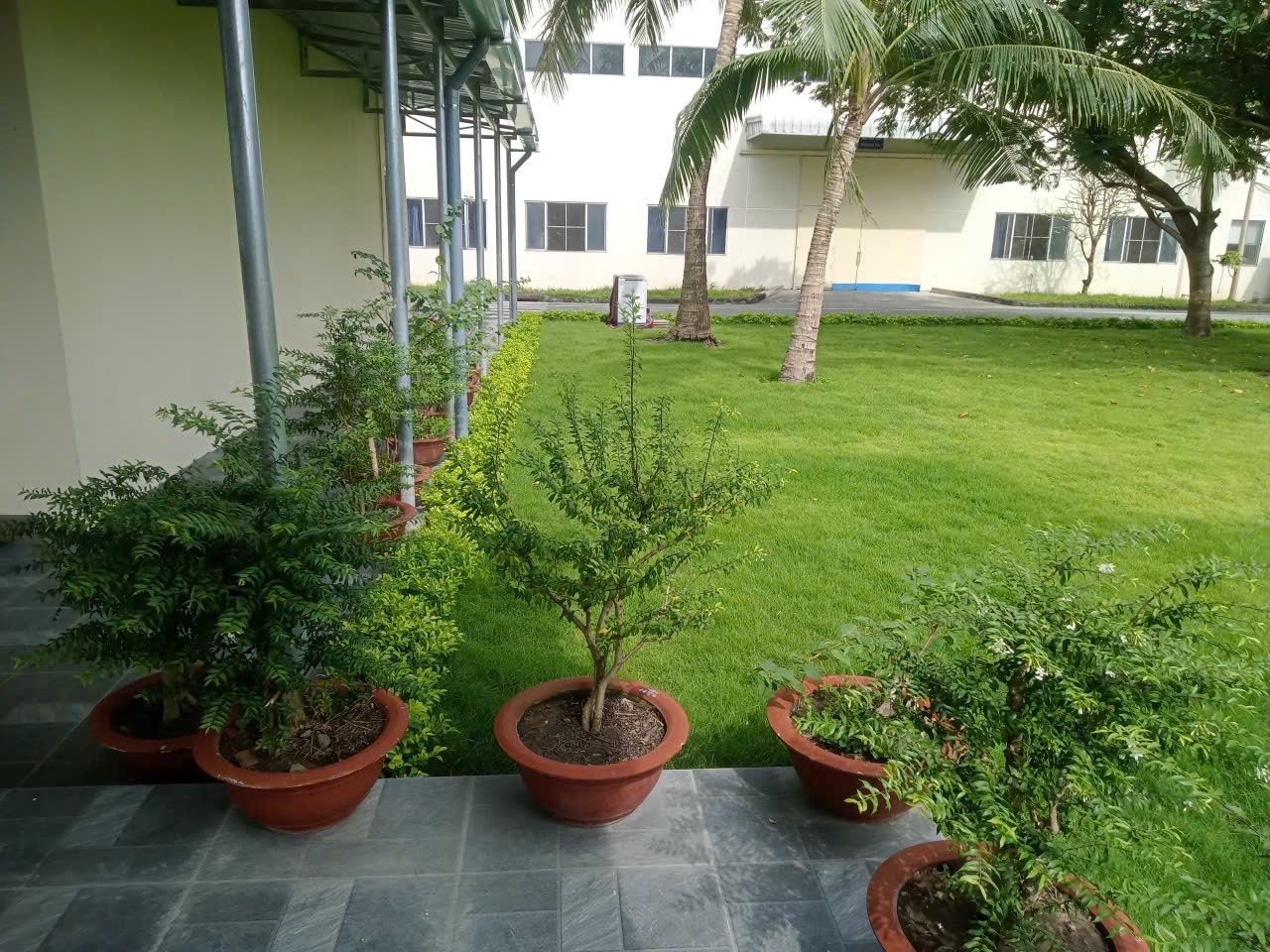 Đối tác thi công cảnh quan uy tín tại Bình Dương và TP.HCM