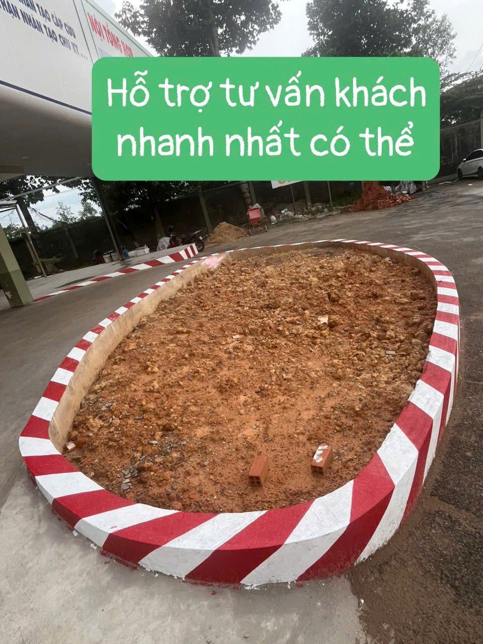  Khảo sát khu vực và lựa chọn cây phù hợp