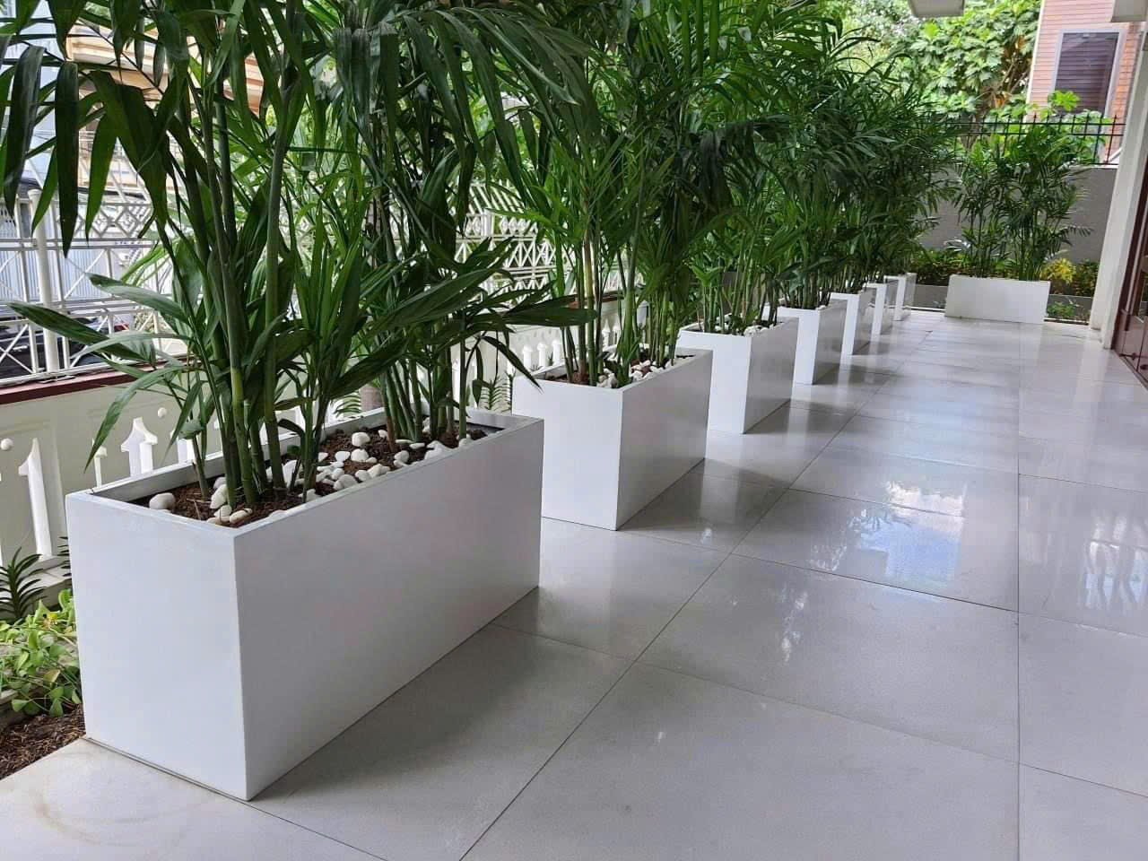 Cung cấp chậu và trồng cây tận nơi tại Bình Dương