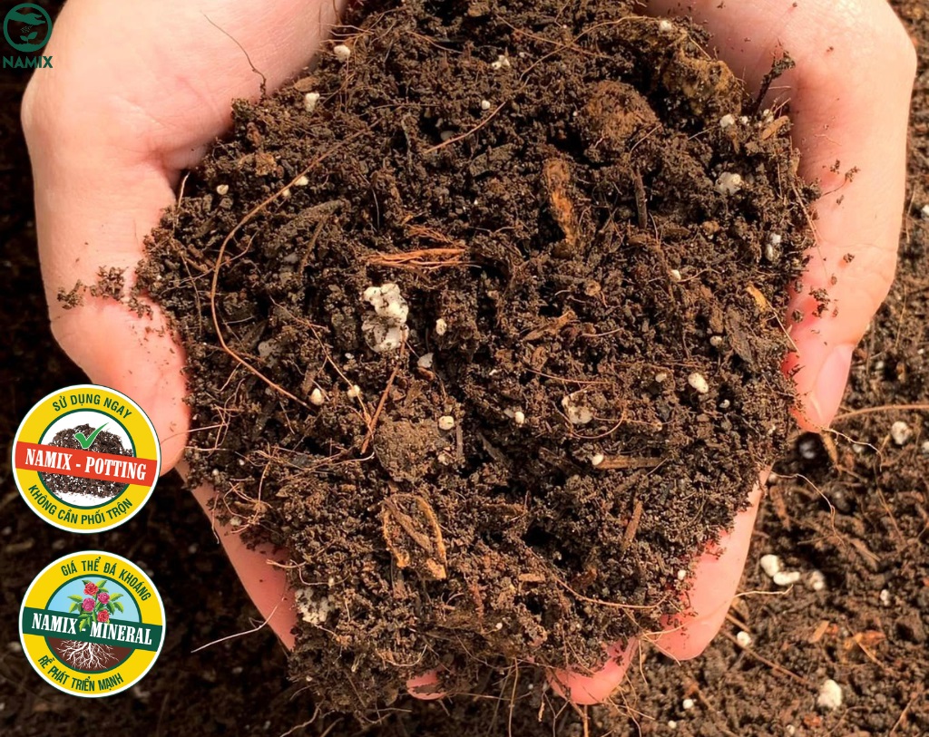 Đất trồng cây đa dụng