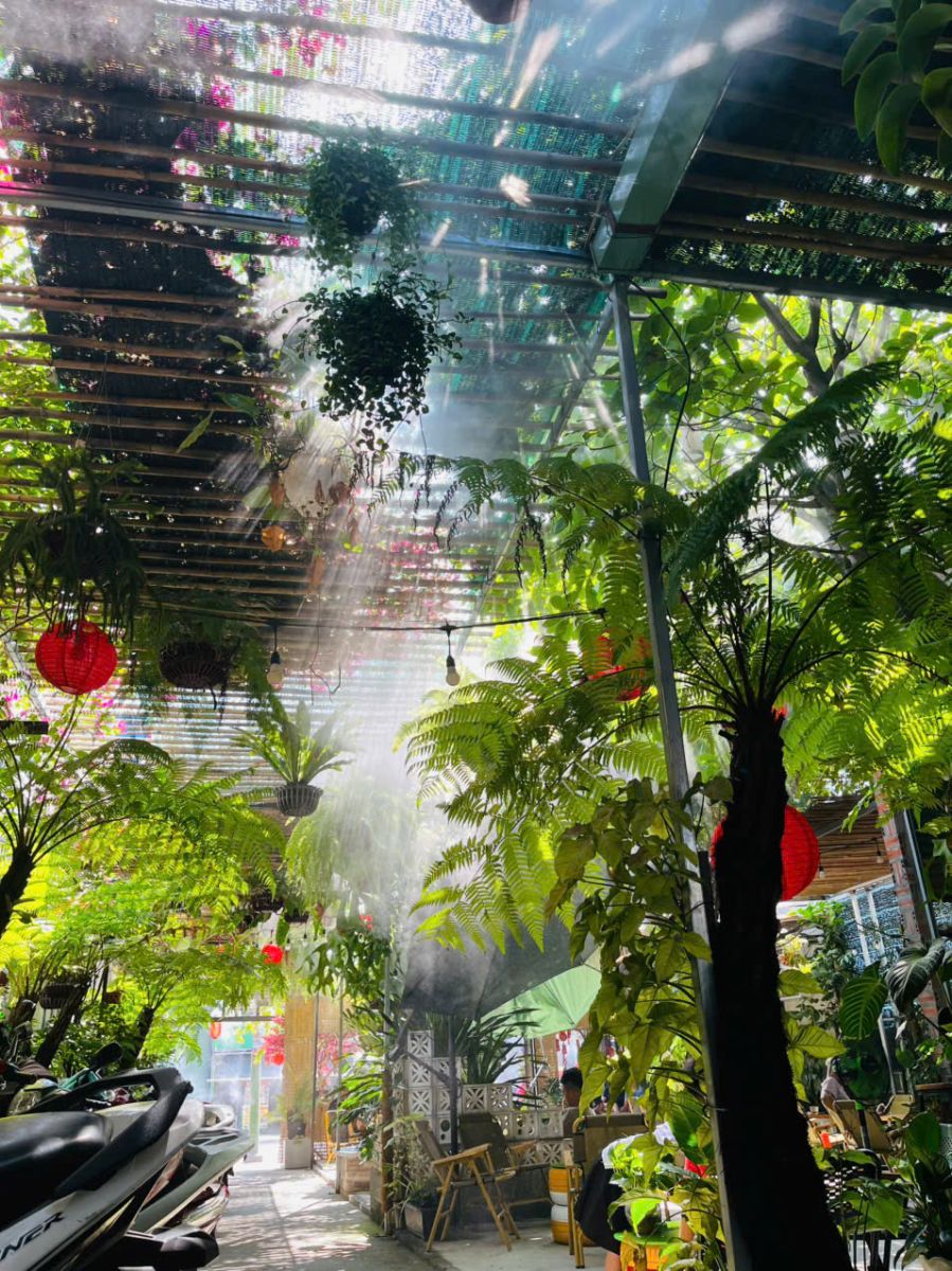 Cách chọn cây trưng văn phòng, công ty theo tuổi