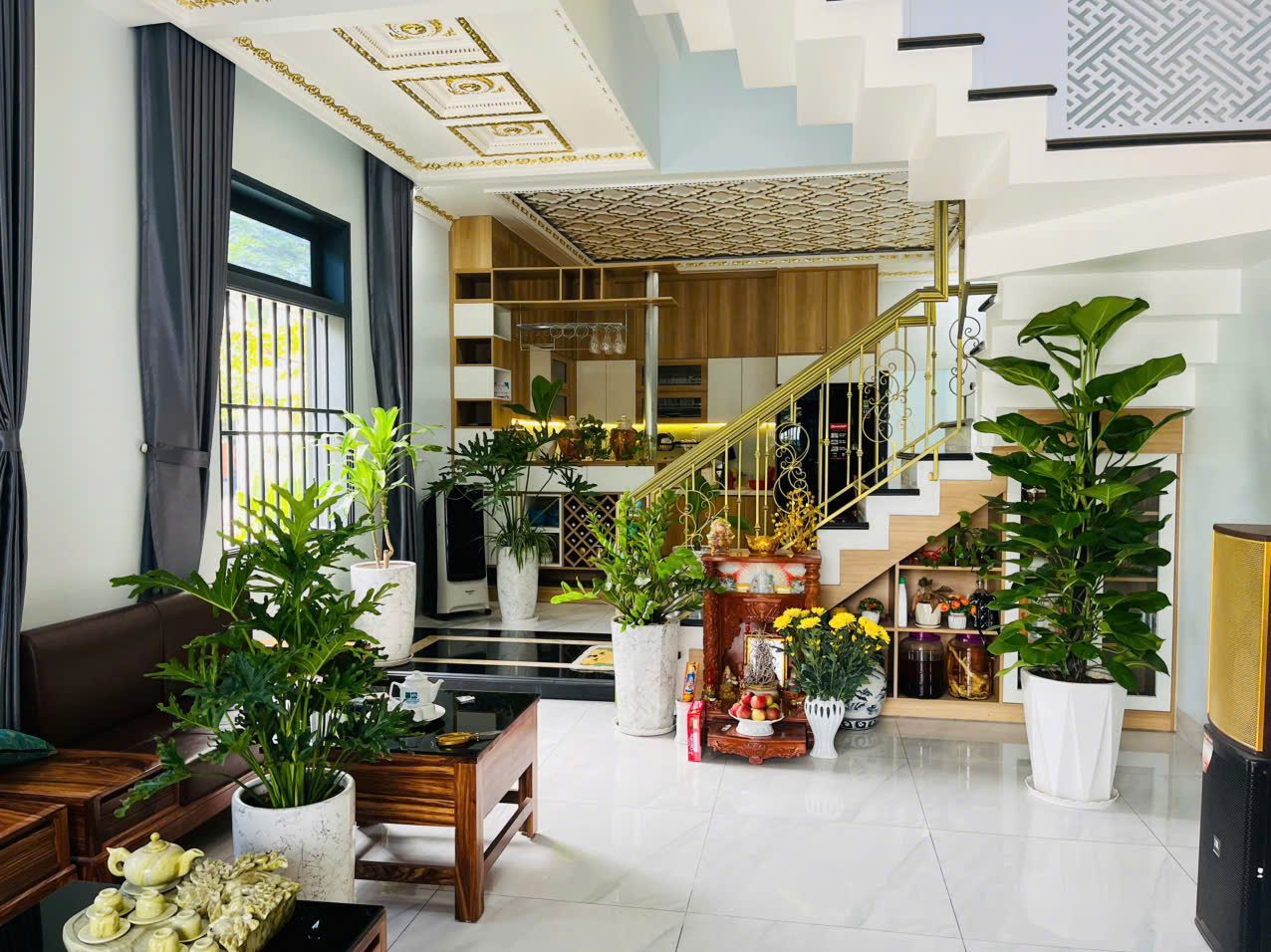 Cây nội thất đẹp của Sóc Garden