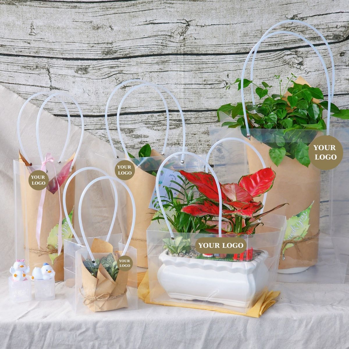 Cây cảnh làm quà tặng– Tổng hợp mẫu cây phong thủy hút tài lộc