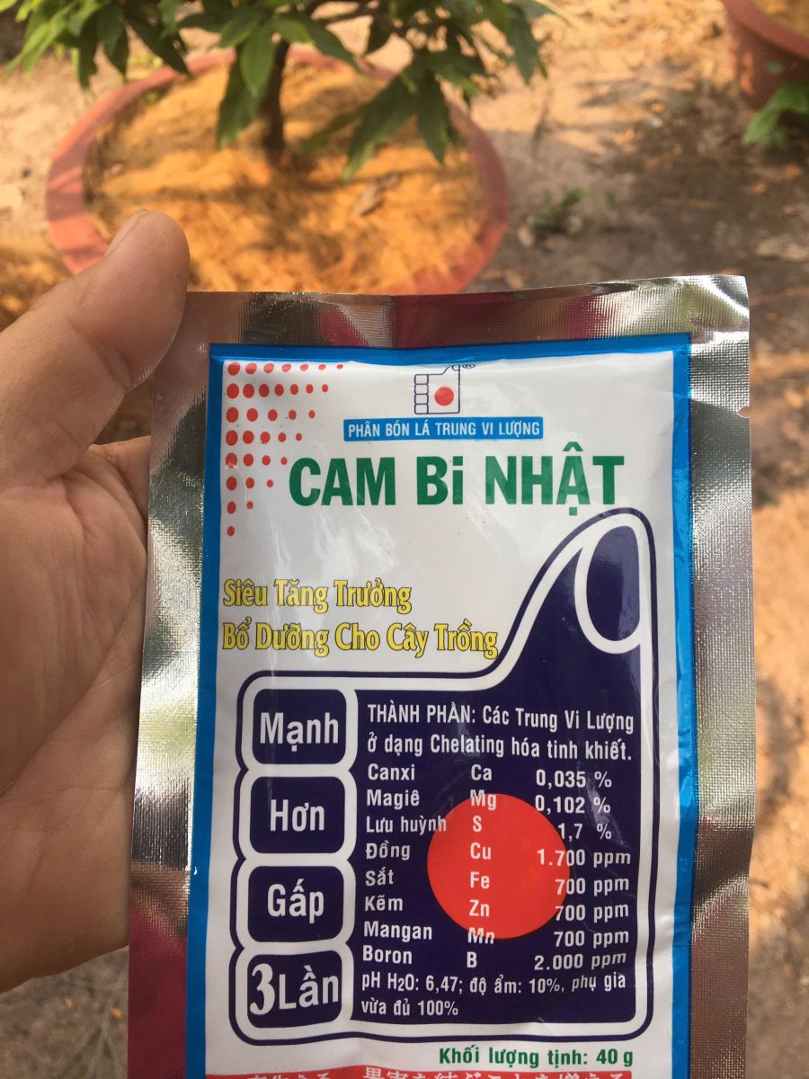 Tại Sao Cần Bổ Sung Combi Vi Lượng Cho Mai Vàng?