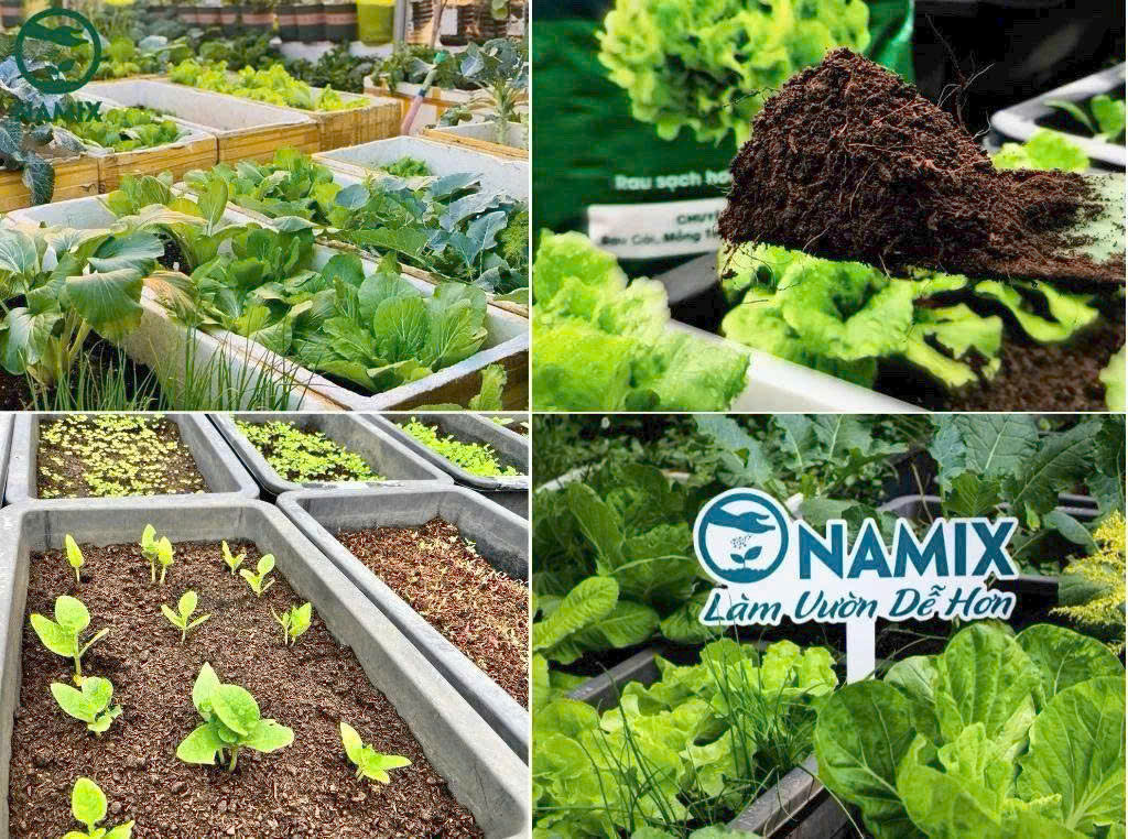 trồng rau sạch, đất hữu cơ Namix
