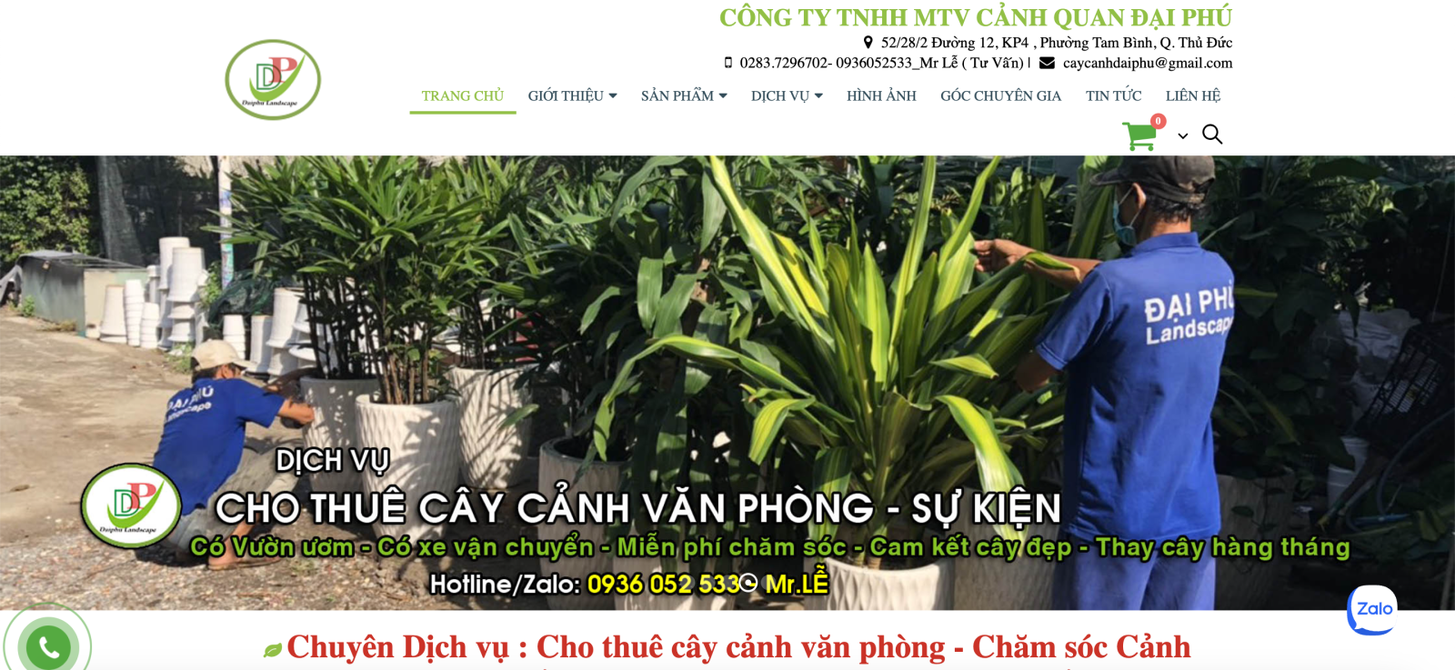 Vườn Cây Đại Phú – Địa Chỉ Cây Cảnh Chất Lượng Tại Bình Dương