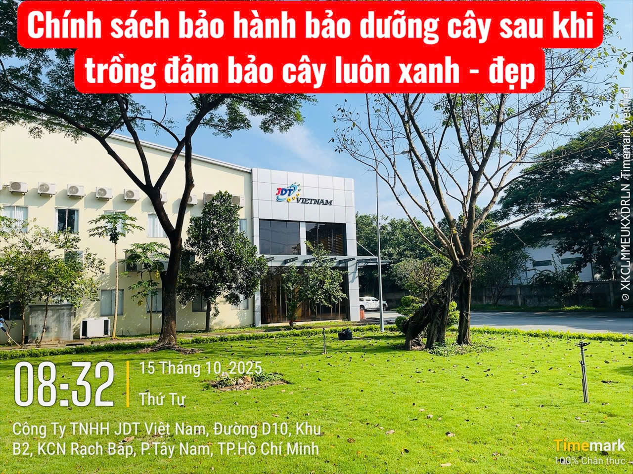 Dịch vụ Cây xanh chuyên nghiệp, uy tín tại Bình Dương
