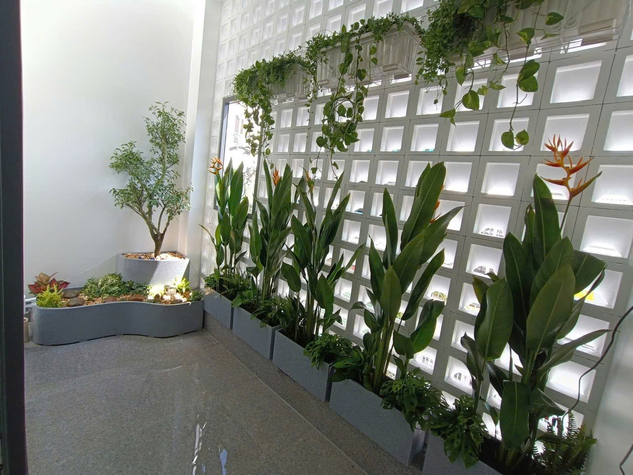 Chậu trồng cây Ban công, sân thượng