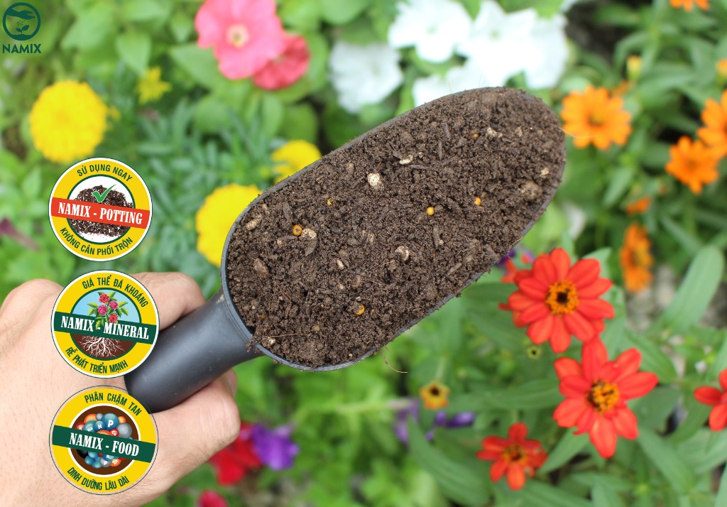 đất trồng hoa đẹp