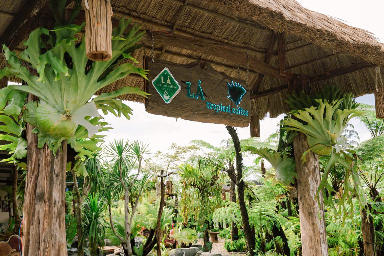 Ổ rồng treo deocr quán Cafe