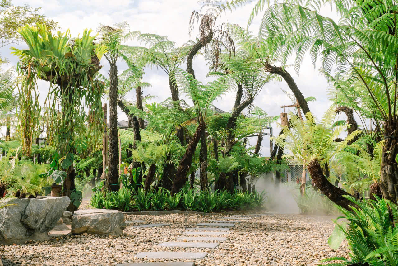 cung cấp và trông cây cho quan cafe - nhà hàng gia rẻ