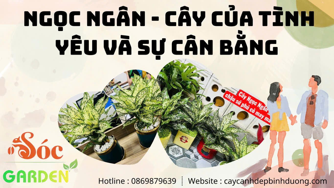 cây ngọc ngân