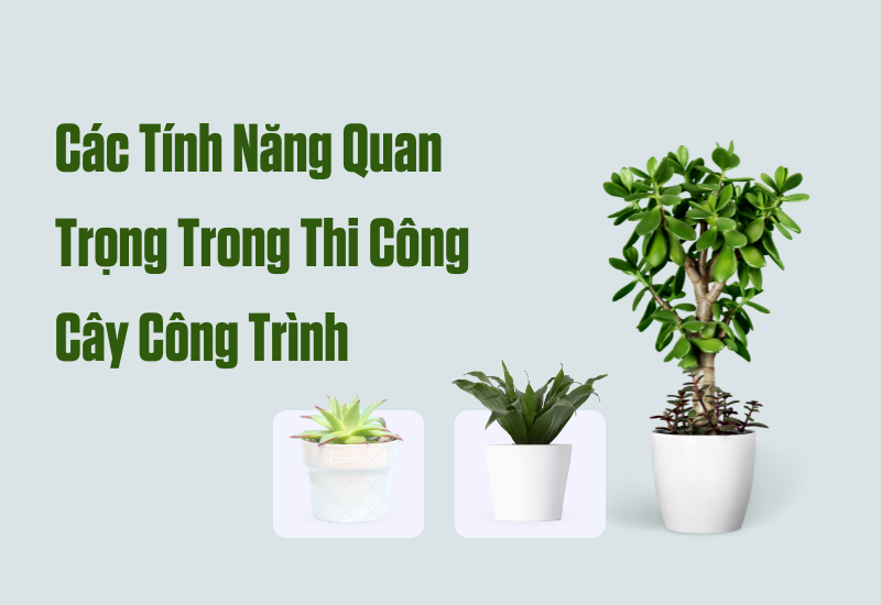 Mang Lại Sự Tươi Mới Cho Khu Đô Thị Bình Dương