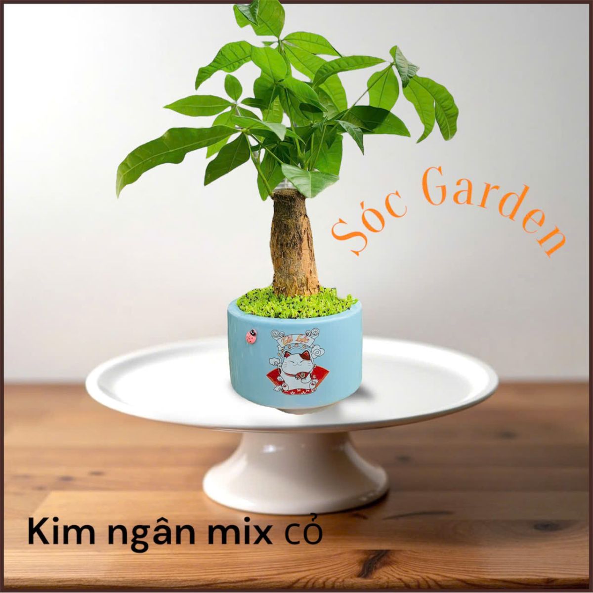 Công dụng của cây Kim Ngân