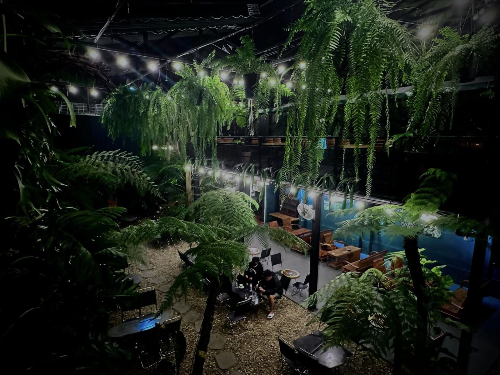 Sóc Garden có cung cấp dịch vụ chăm sóc cây định kỳ không