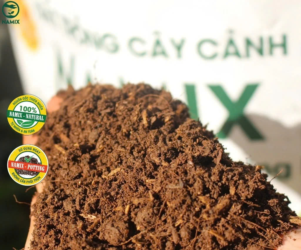 đất trồng cây cảnh