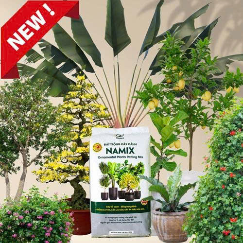 đất trồng cây cảnh