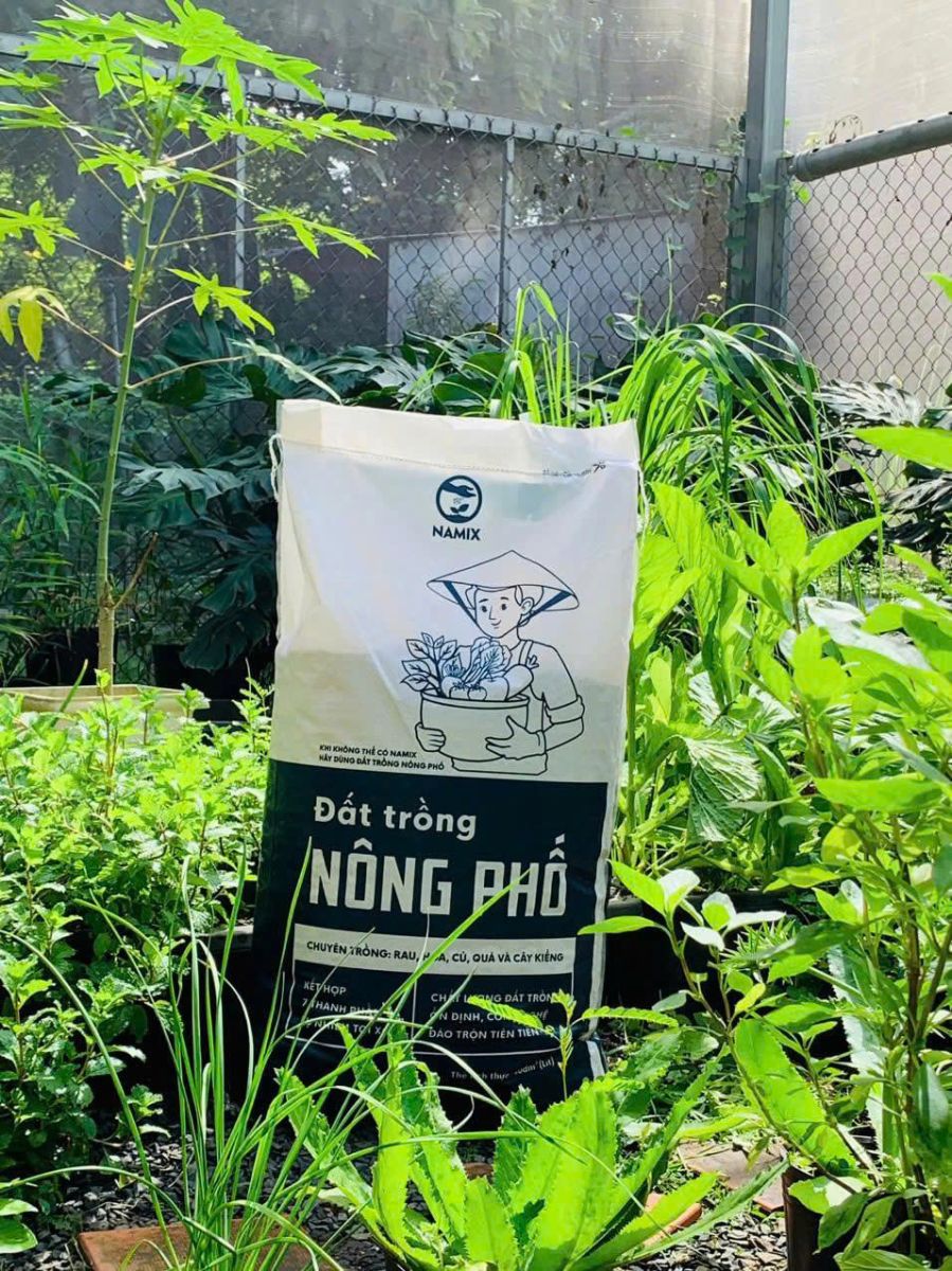 đất trồng nông phố