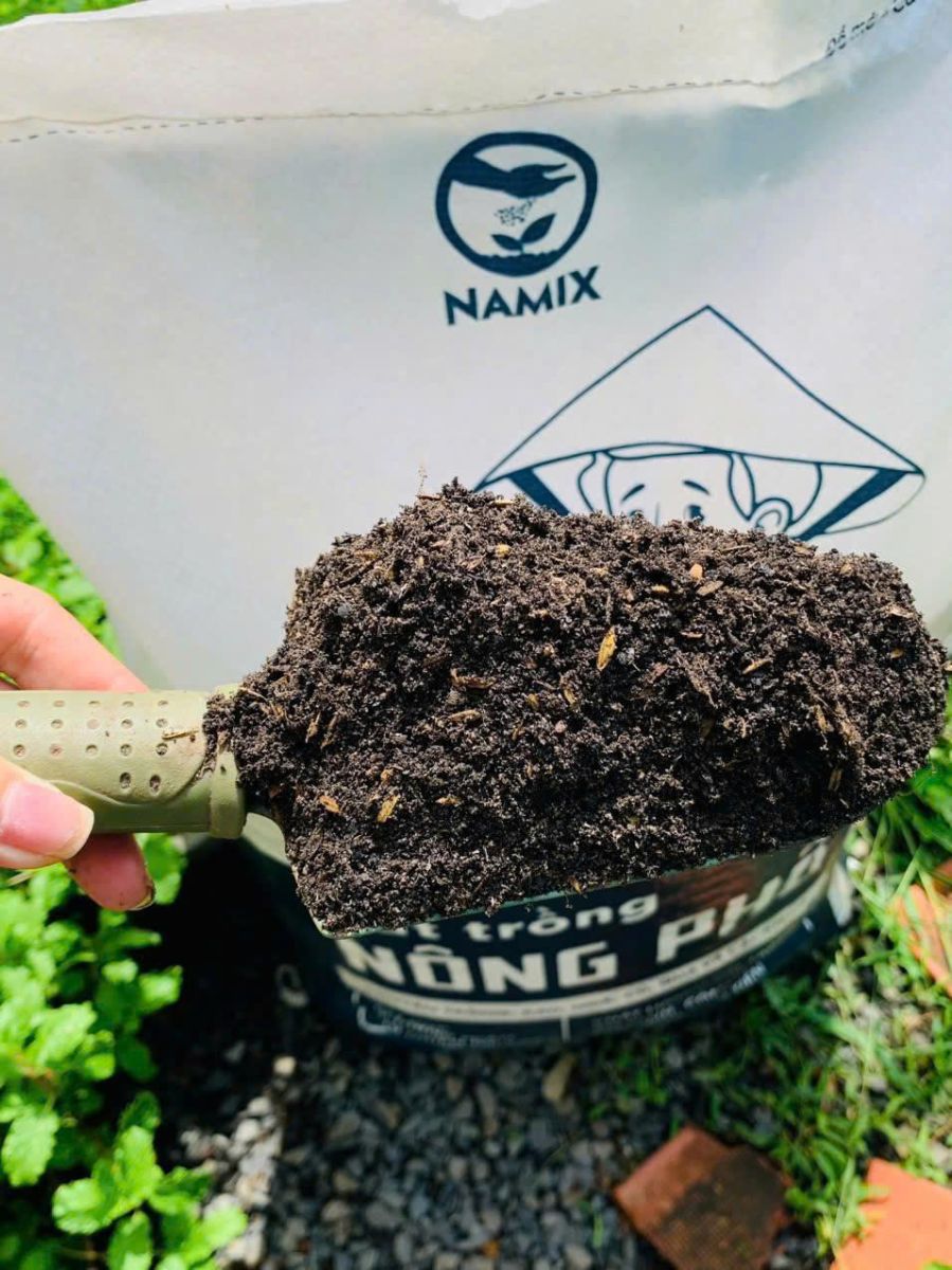 đất trồng nông phố