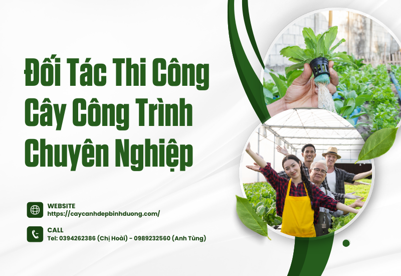 Mang Lại Sự Tươi Mới Cho Khu Đô Thị Bình Dương