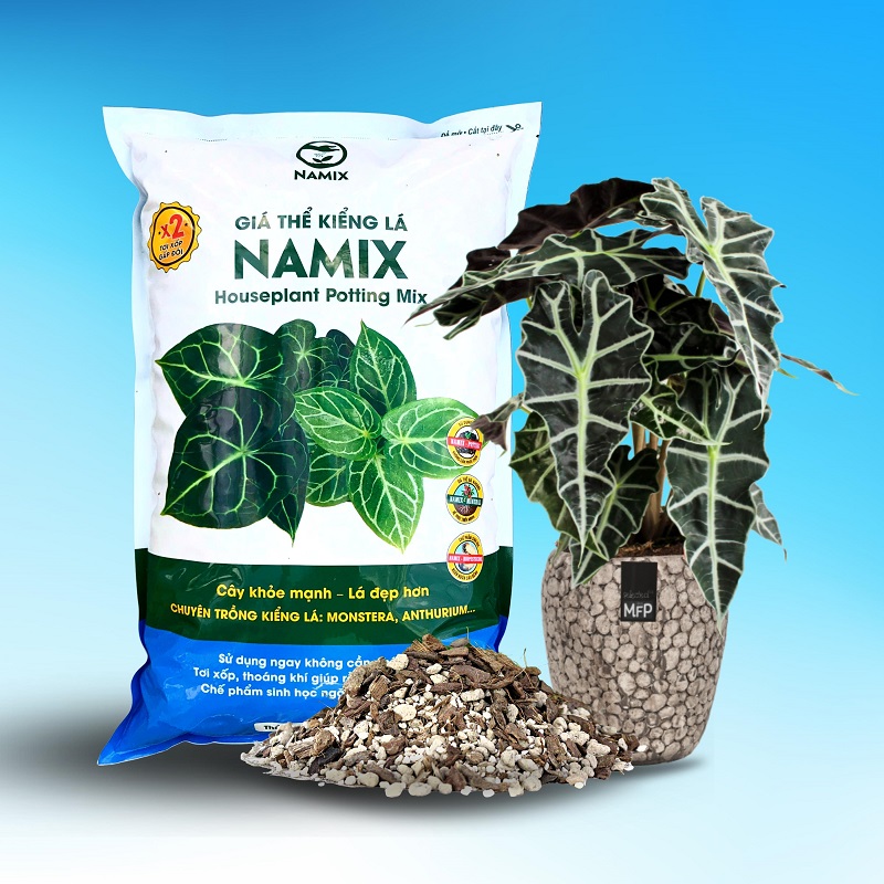 giá thể kiểng lá