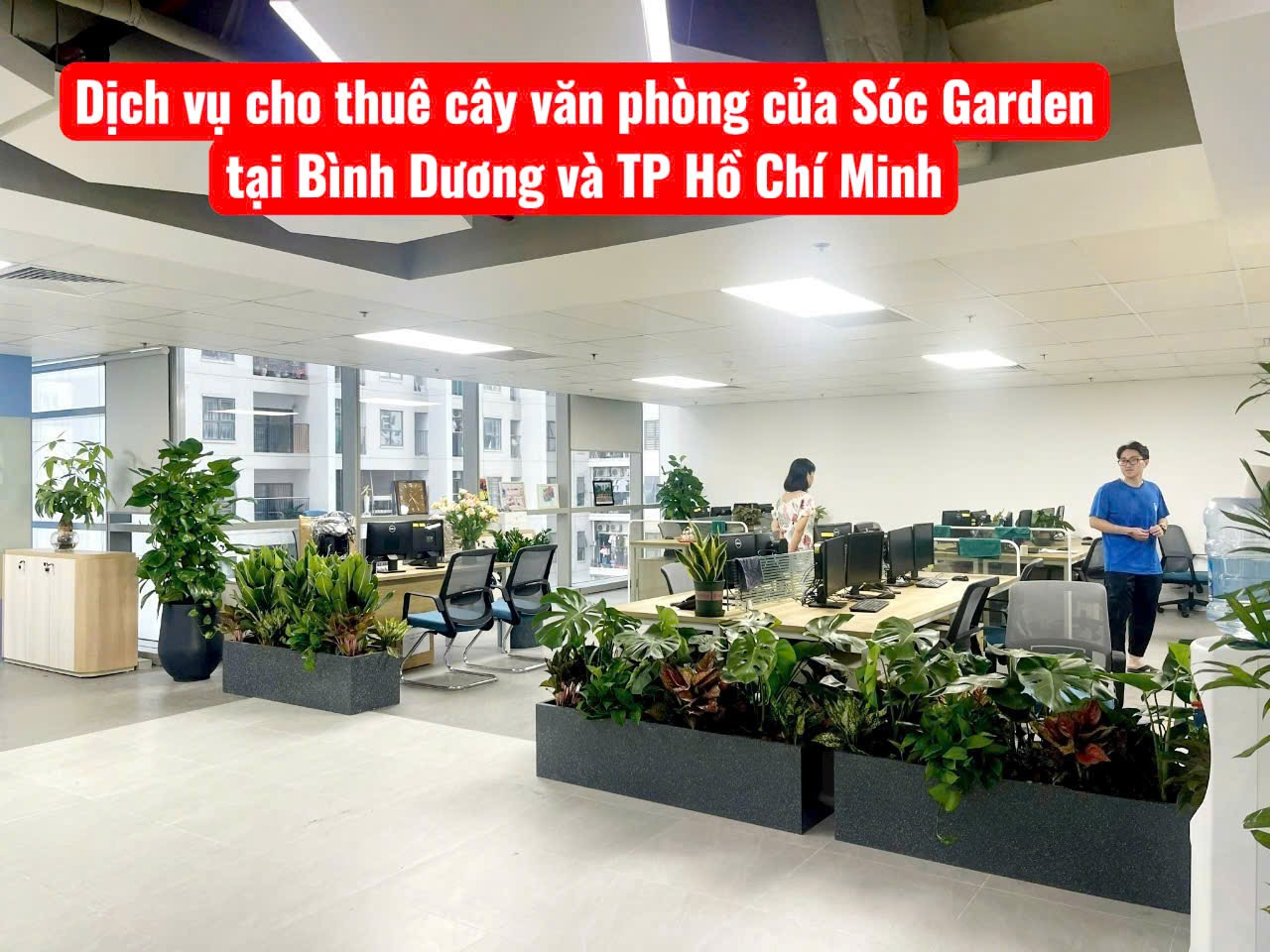 DỊCH VỤ THUÊ CÂY