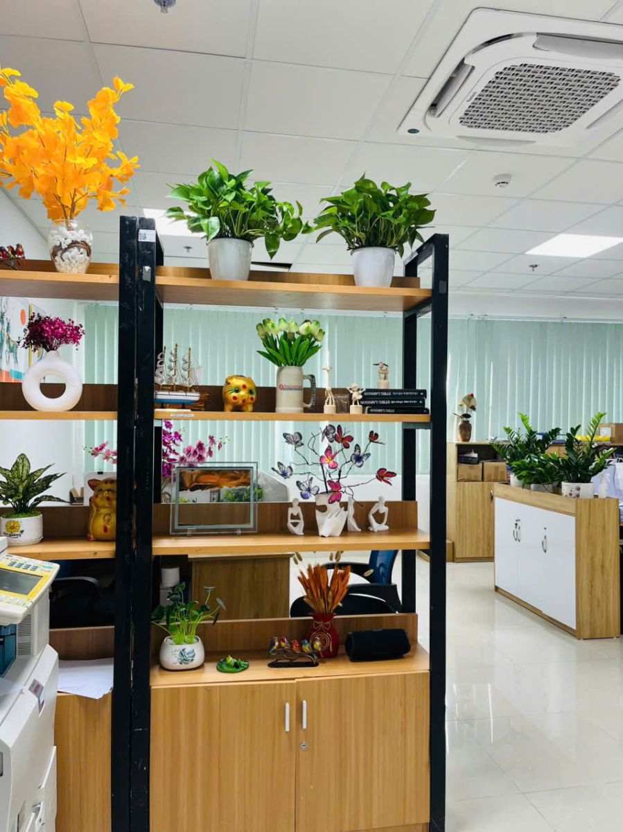 Những loại cây trưng kệ tủ đẹp