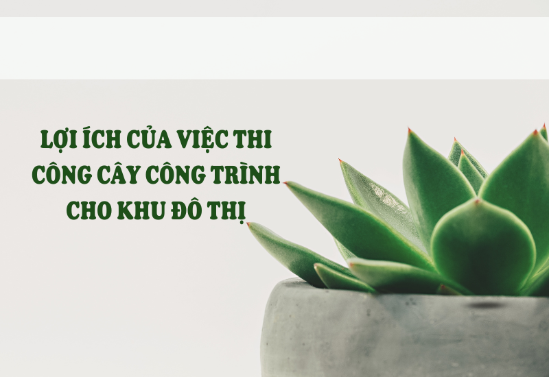 Mang Lại Sự Tươi Mới Cho Khu Đô Thị Bình Dương