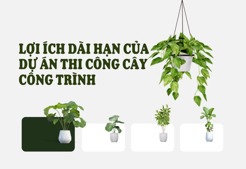 Mang Lại Sự Tươi Mới Cho Khu Đô Thị Bình Dương