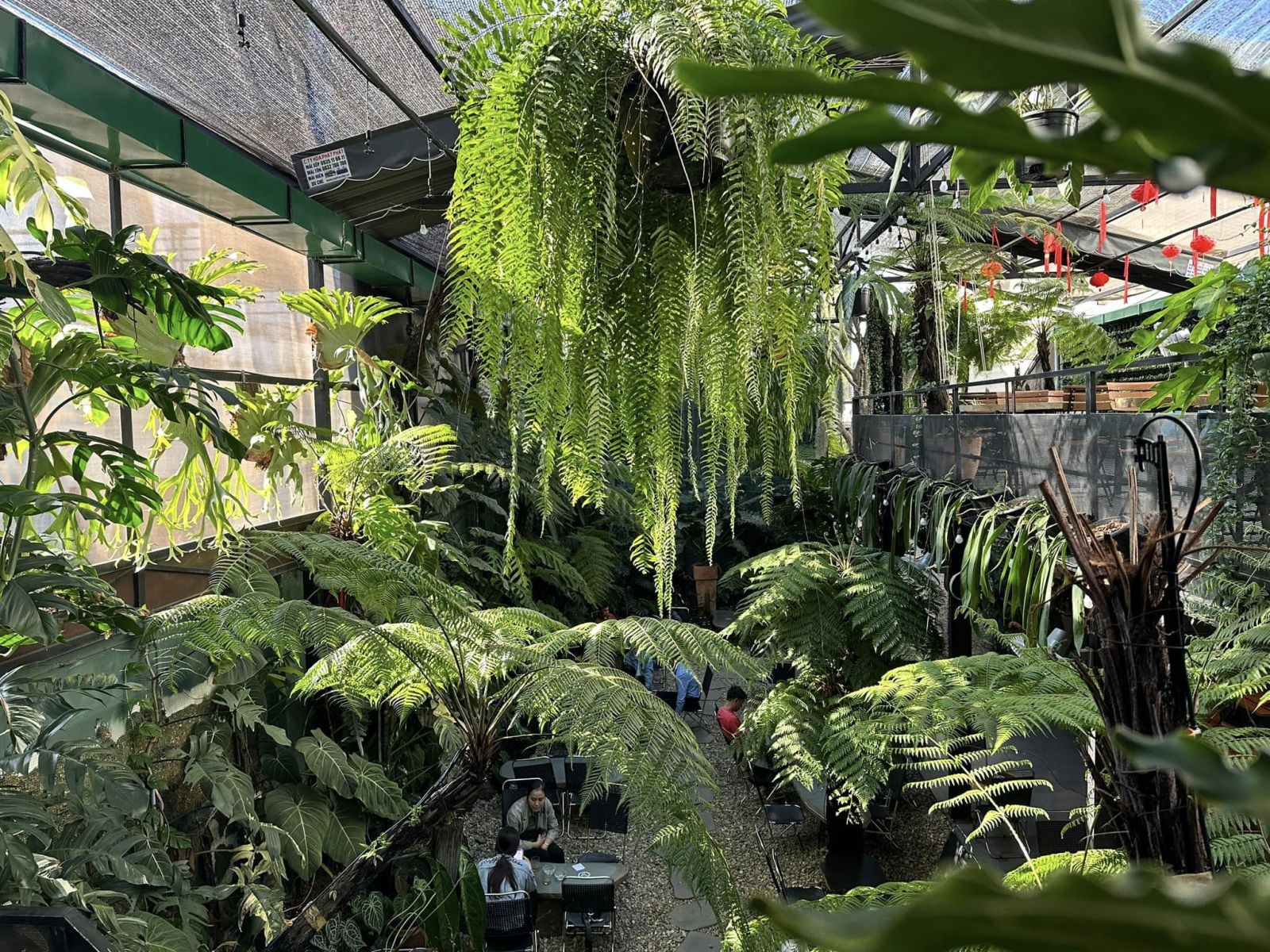 Quá Trình Tư Vấn Khảo Sát Công Trình - Sân Vườn Của Sóc Garden