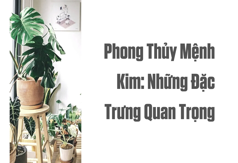 Các loại cây cho nhà mới mệnh kim