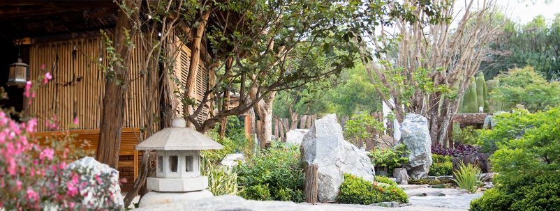 Các Dịch Vụ Khảo Sát và Tư Vấn Sân Vườn tại Sóc Garden