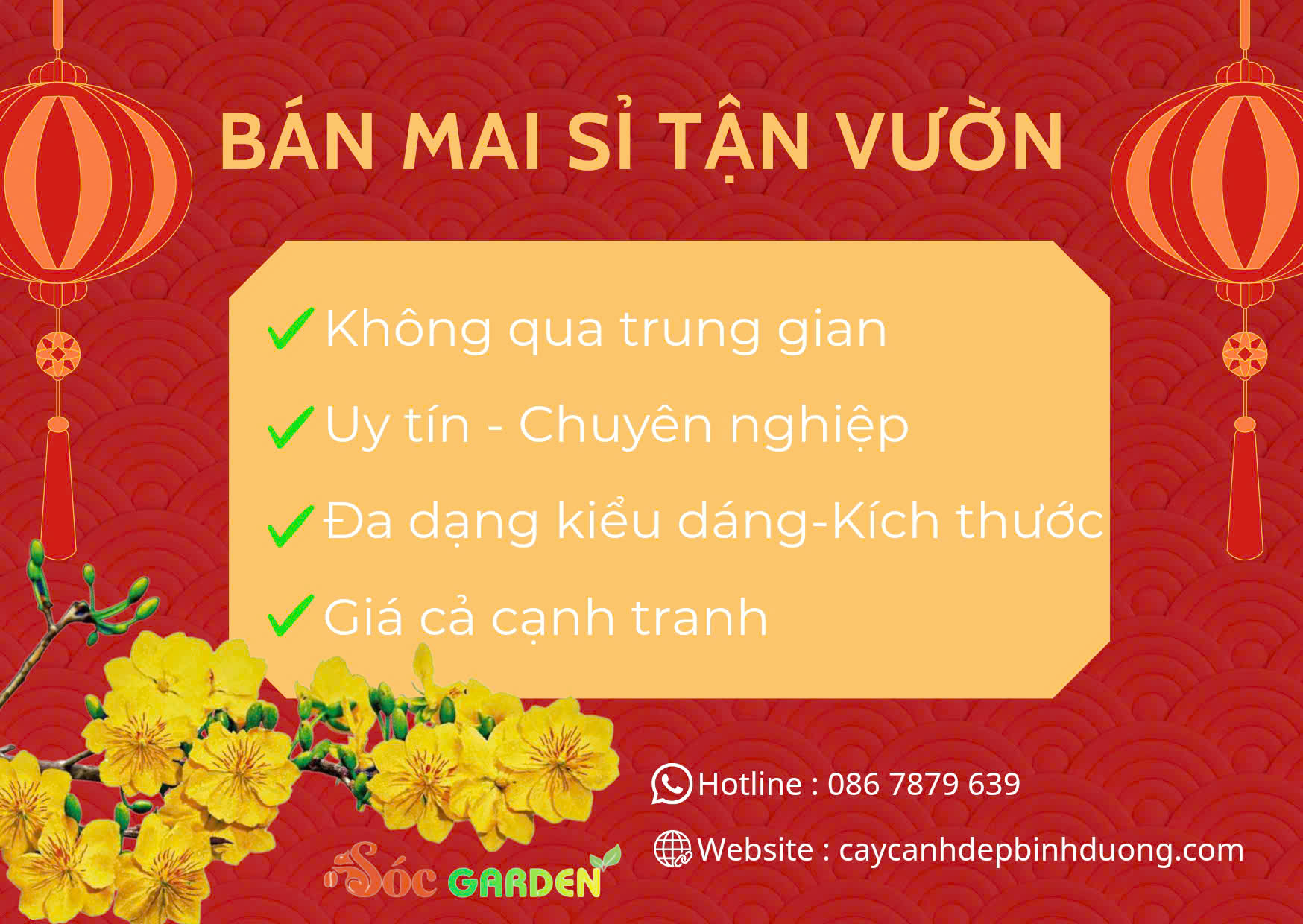 Chăm sóc cây xanh tại Bình Dương