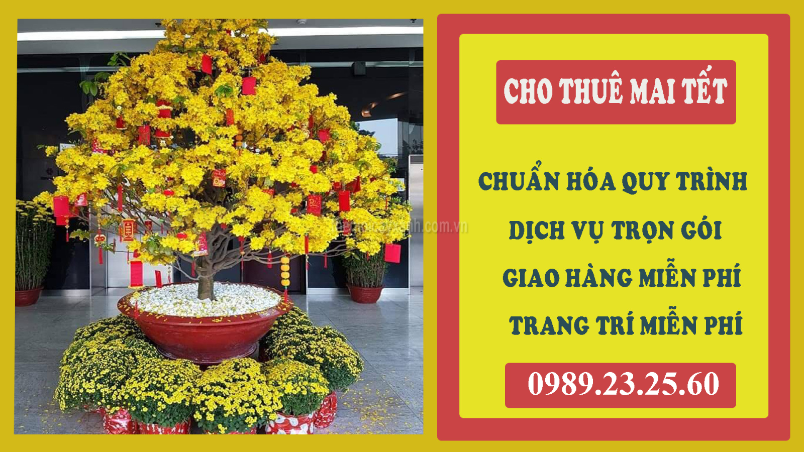 Cho thuê mai Tết