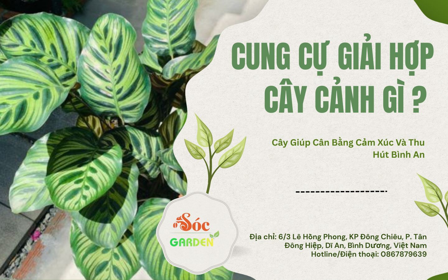 cung cự giải