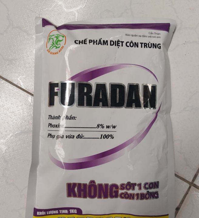 Cách phòng trị sâu đục thân hiệu quả