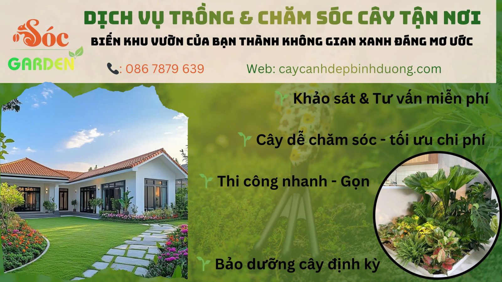 dịch vụ trồng và chăm sóc 