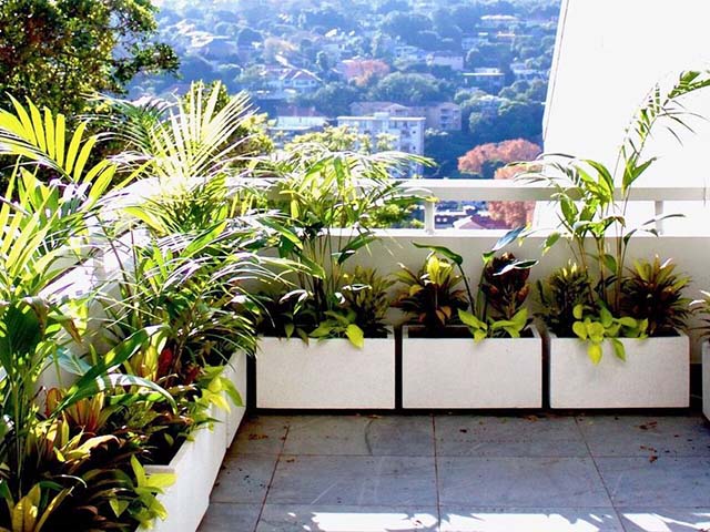 Chậu xi măng đá mài chữ nhật decor ban công đẹp