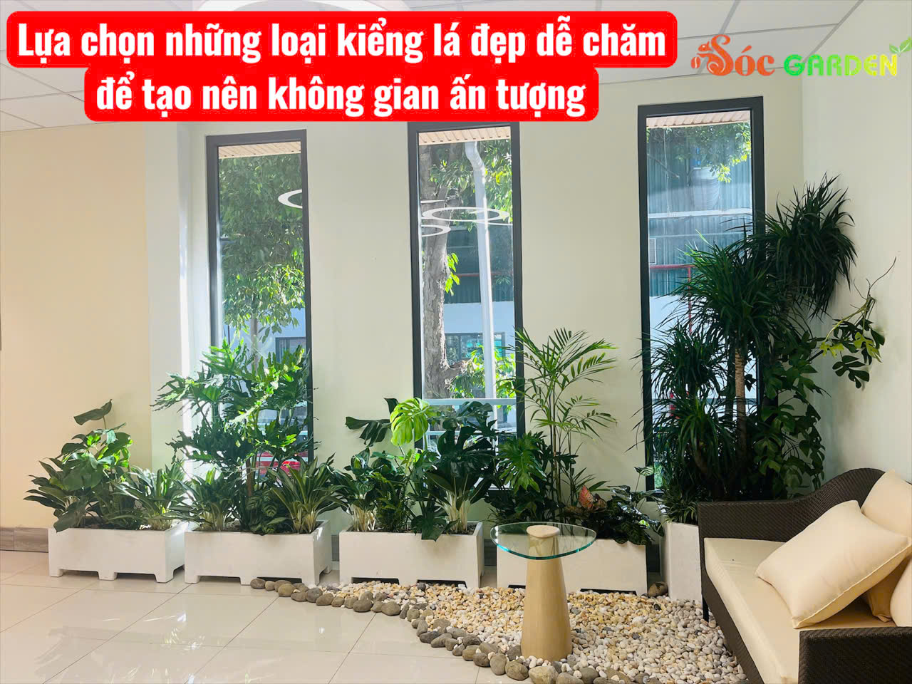 Cây xanh cải thiện không gian làm việc rất tốt