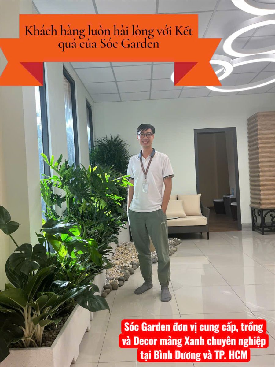 Sóc Garden có làm khách hàng hài lòng không