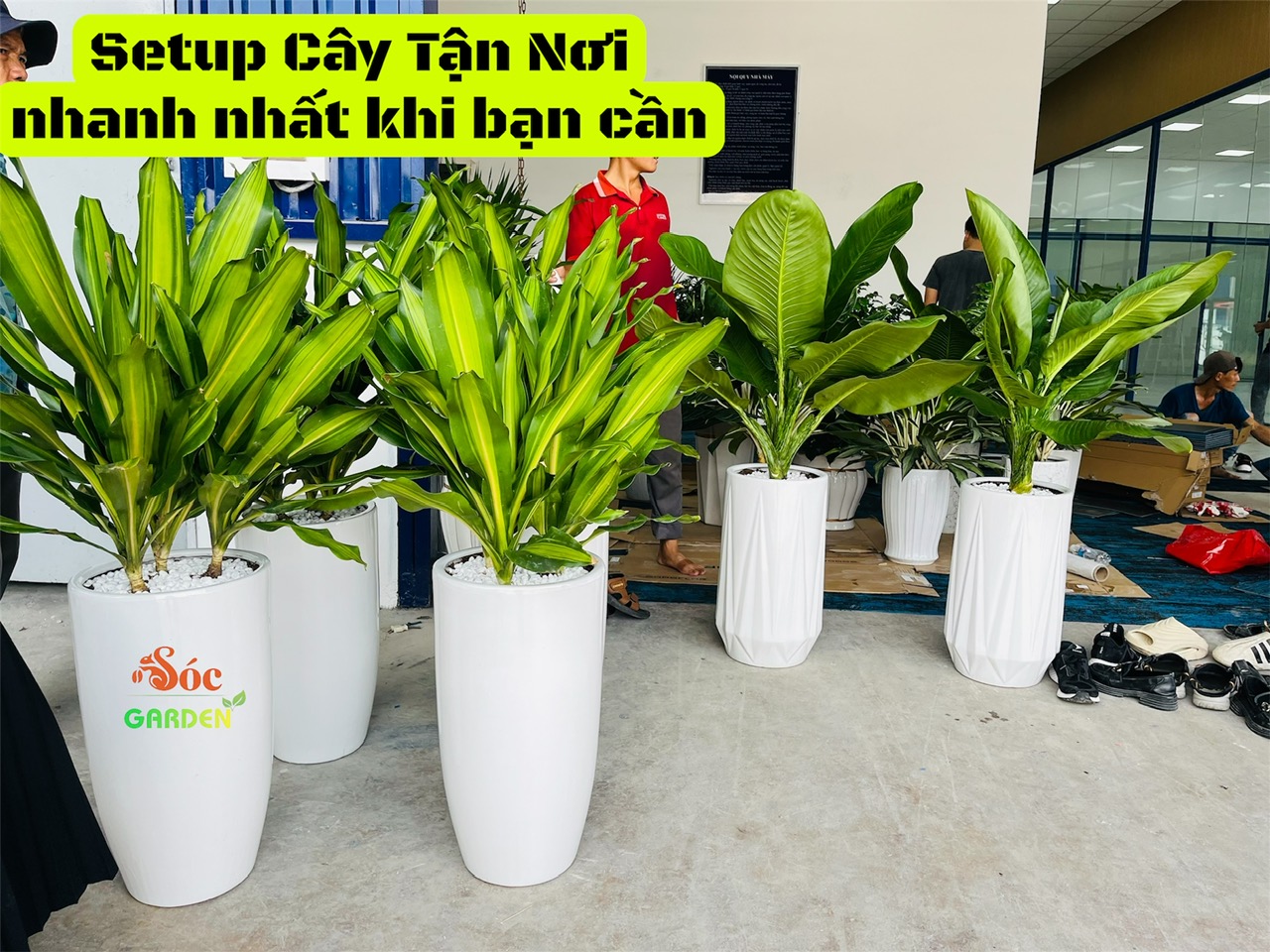 Dịch vụ linh hoạt, có thể đáp ứng nhanh chóng và đảm bảo cây xanh đẹp