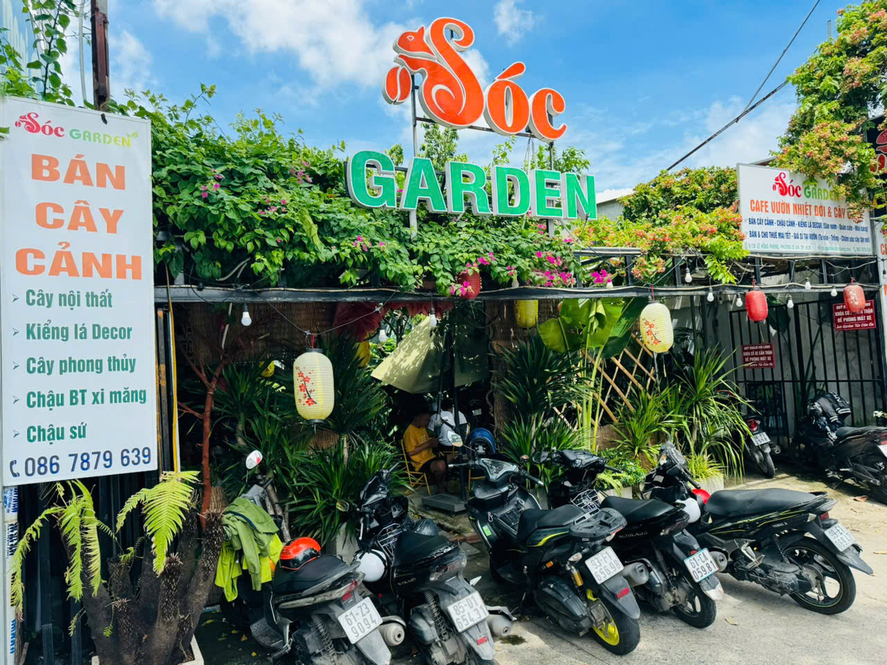 Sóc Garden - Địa Chỉ Cây Cảnh Uy Tín Nhất Bình Dương