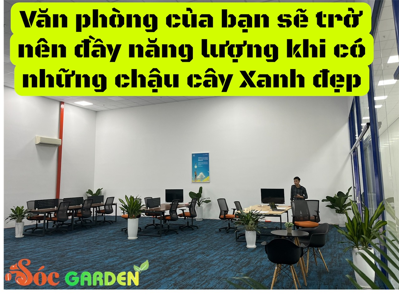 dịch vụ cho thuê thường bao gồm cả chi phí bảo dưỡng, thay cây định kỳ, giúp bạn tiết kiệm đáng kể chi phí phát sinh