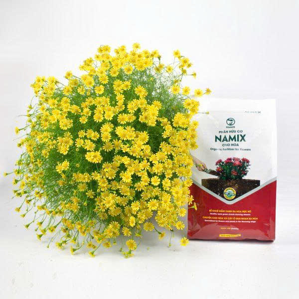 Phân hữu cơ cho hoa
