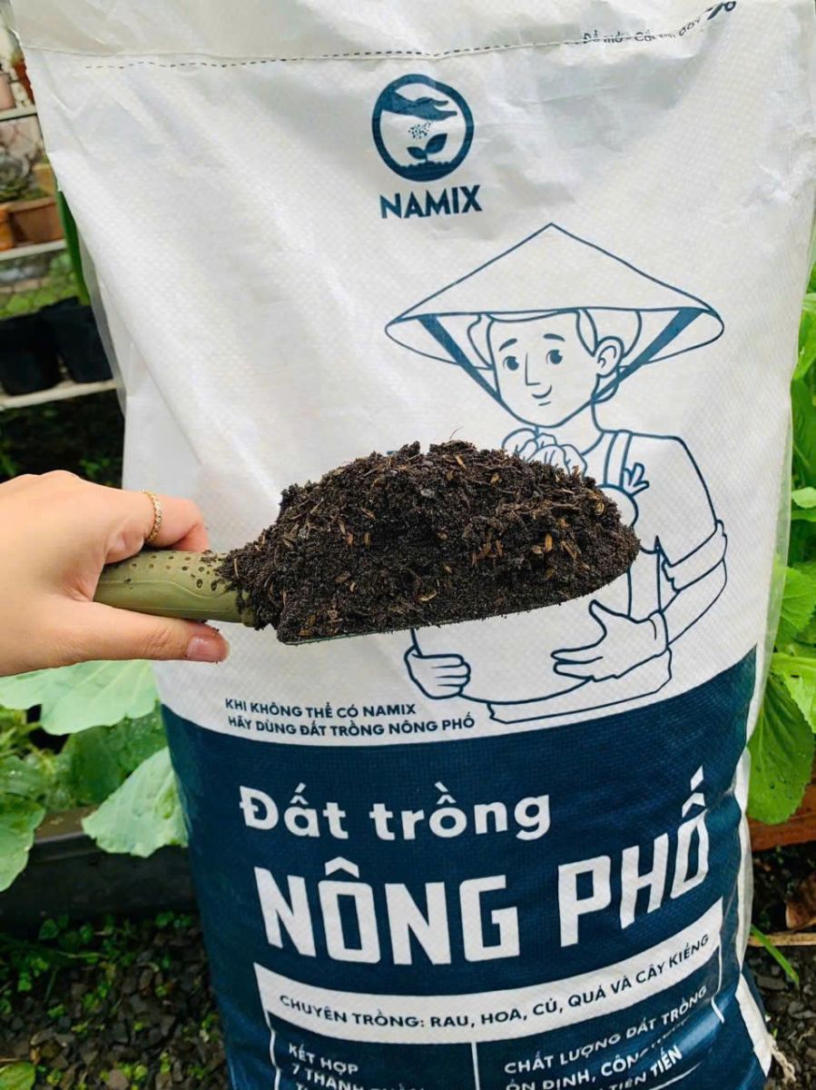 đất trồng nông phố