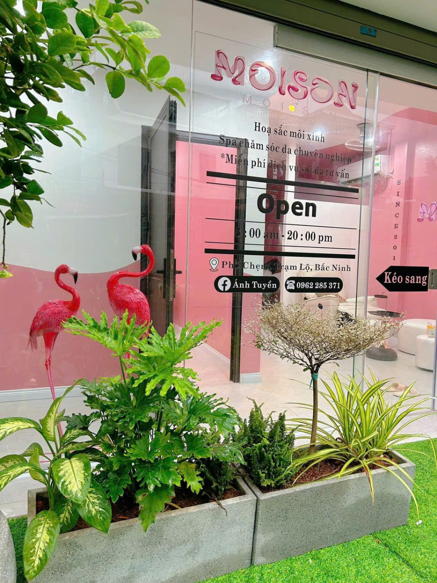 Chậu xi măng đá mài decor quán cà phê đẹp