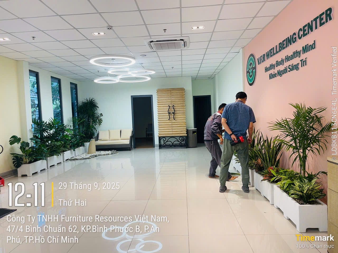 Chậu xi măng đá mài giúp làm đẹp không gian văn phòng