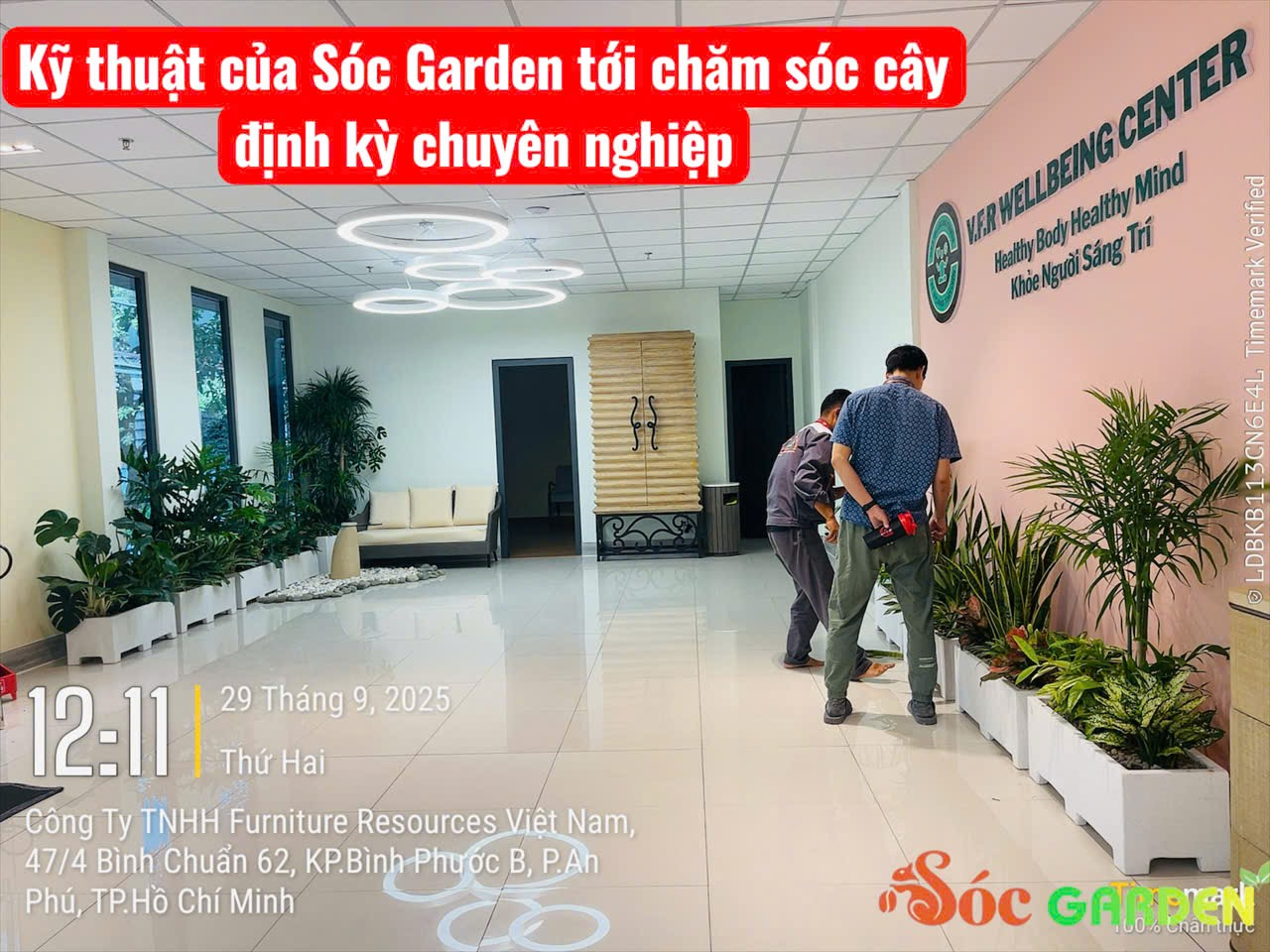 Đội ngũ thi công của SÓC GARDEN có nhiều năm kinh nghiệm trong lĩnh vực thi công mảng xanh văn phòng